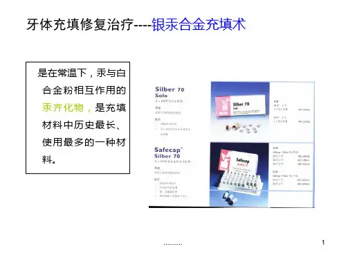 二类洞银汞合金充填术详细版.ppt