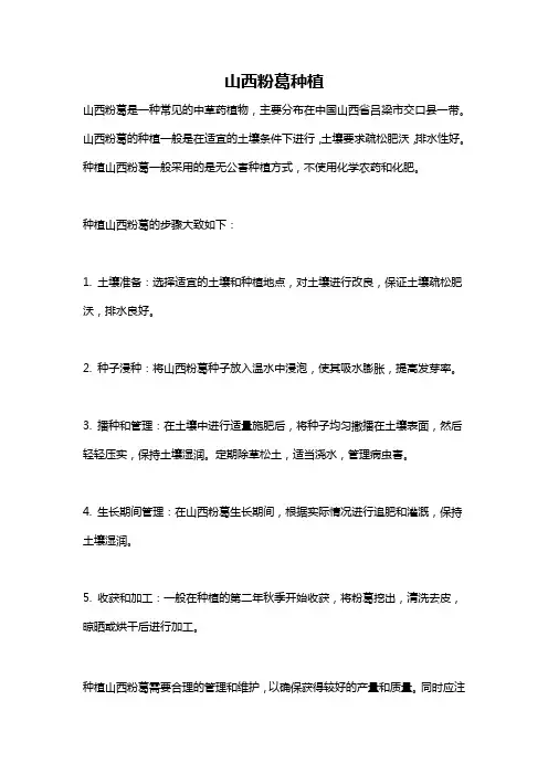 山西粉葛种植
