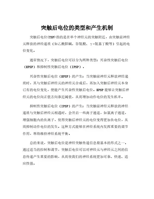 突触后电位的类型和产生机制