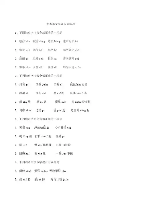 中考语文字词专题练习