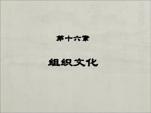罗宾斯《组织行为学》14版16章