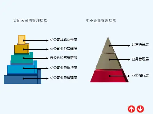 集团公司常用的五种组织结构课件(1).ppt
