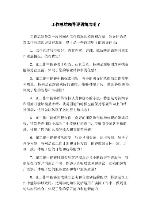 工作总结领导评语简洁明了