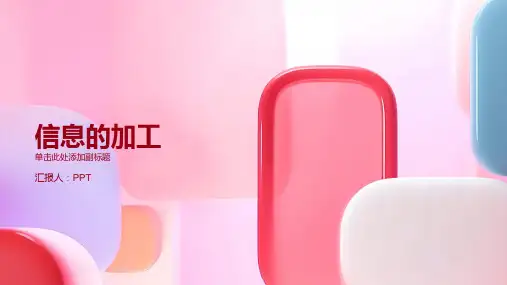 《信息的加工》课件