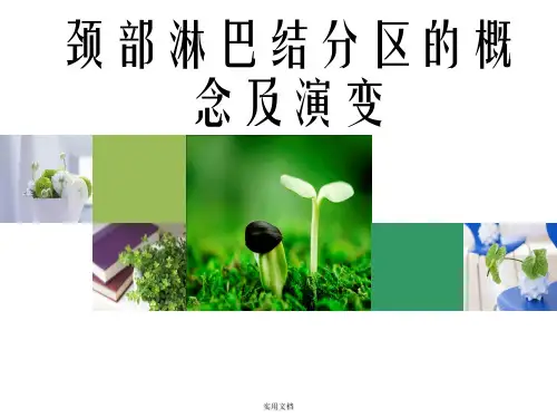 颈部淋巴结分区的概念及演变PPT课件