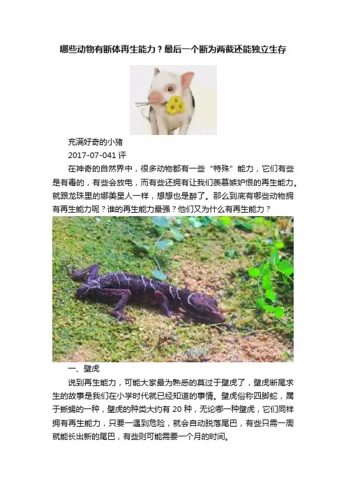 哪些动物有断体再生能力？最后一个断为两截还能独立生存
