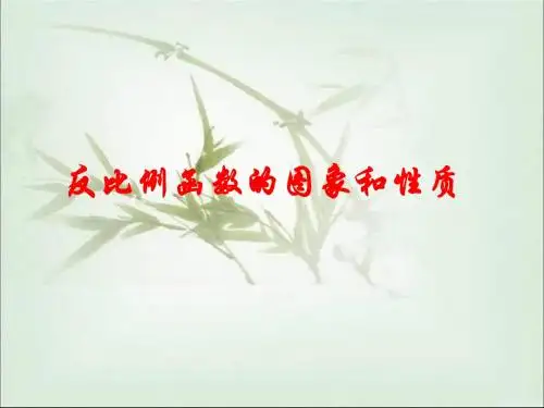 鲁教版九年级数学上册《反比例函数的图象与性质1》课件2