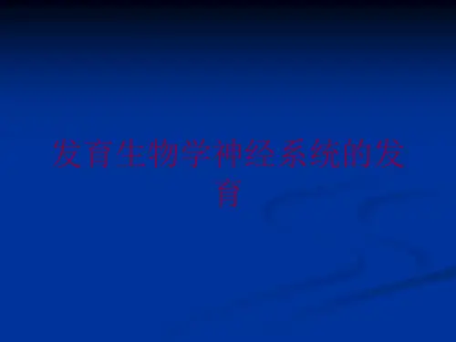发育生物学神经系统的发育培训课件