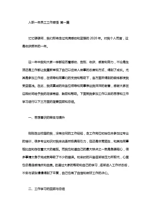 入职一年员工工作感悟(3篇汇总)