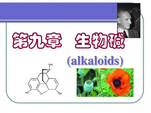 9---生物碱
