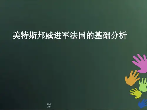 法国环境分析范文.ppt