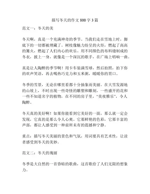 描写冬天的作文800字3篇