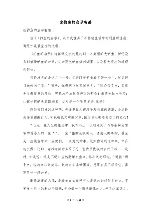 读钓鱼的启示有感