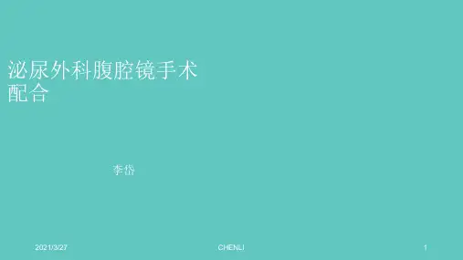 泌尿外科腹腔镜手术