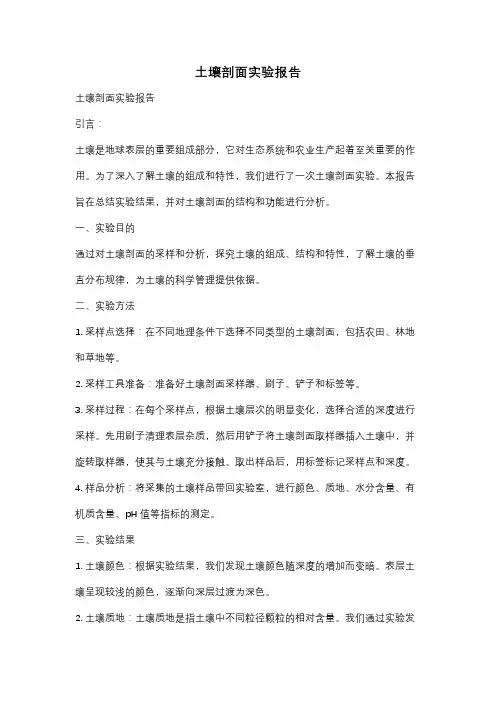 土壤剖面实验报告