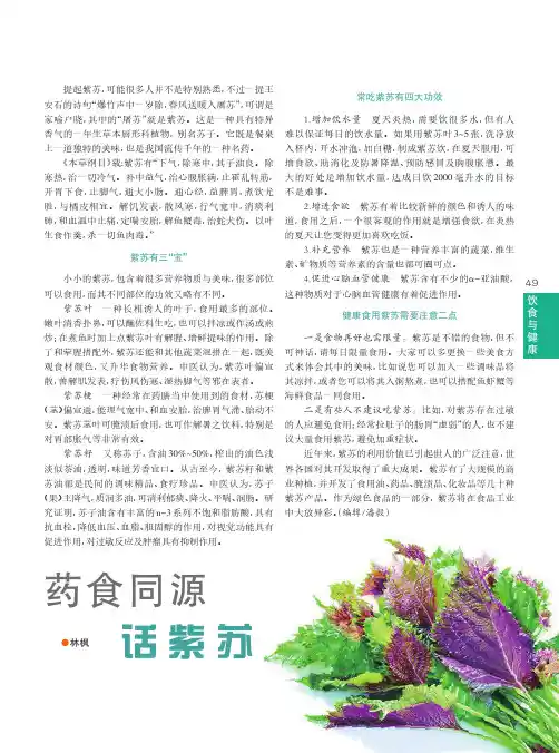 药食同源话紫苏