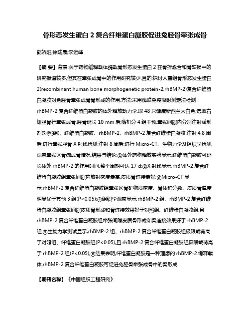 骨形态发生蛋白2复合纤维蛋白凝胶促进兔胫骨牵张成骨