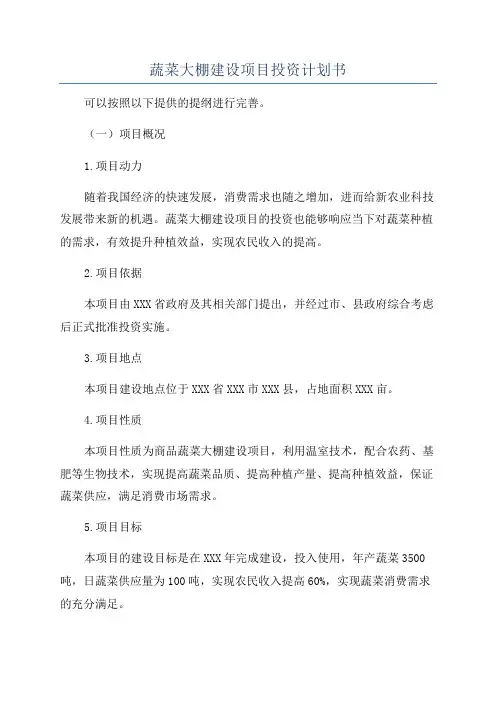 蔬菜大棚建设项目投资计划书