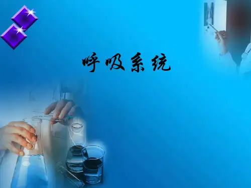 组胚学课件-呼吸系统-