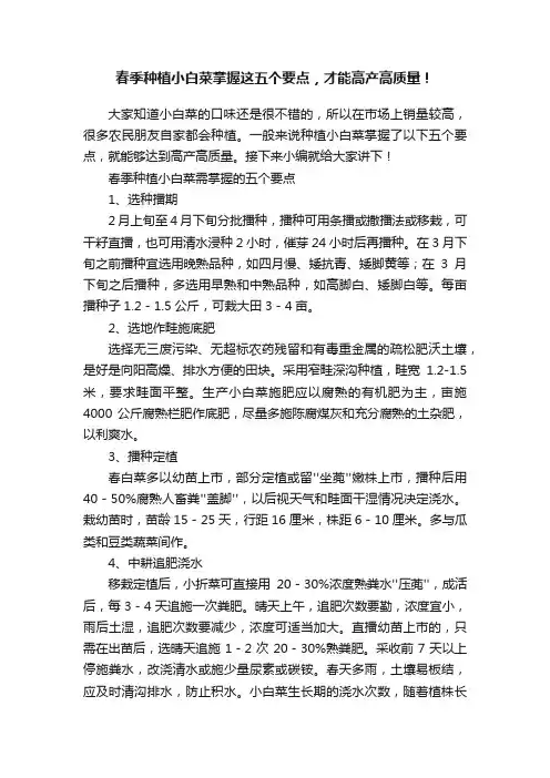 春季种植小白菜掌握这五个要点，才能高产高质量！