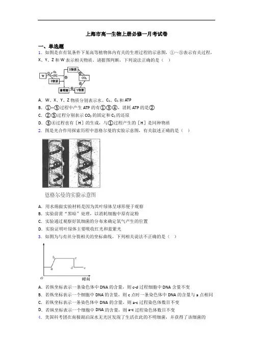 上海市高一生物上册必修一月考试卷