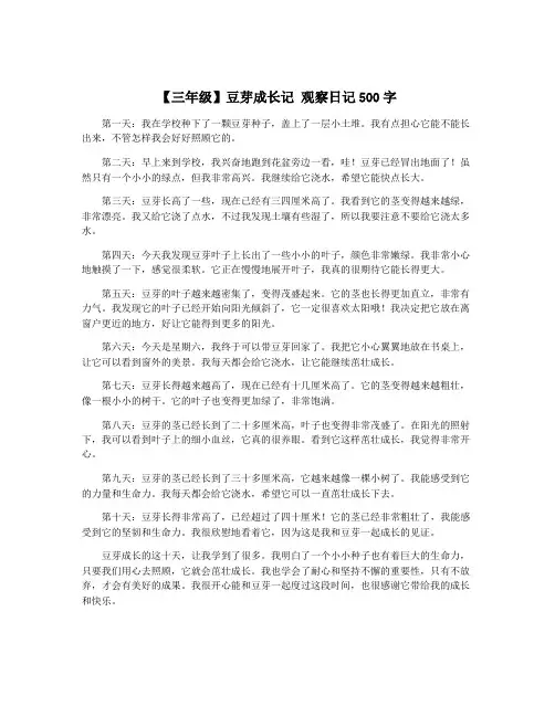 【三年级】豆芽成长记 观察日记500字