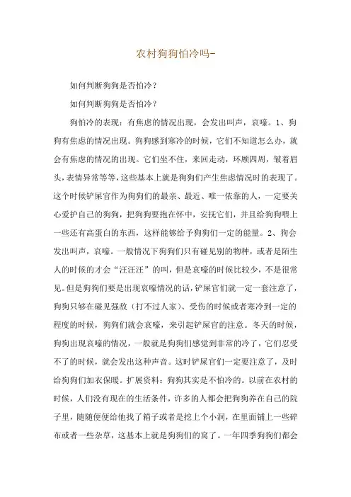 农村狗狗怕冷吗--如何判断狗狗是否怕冷？
