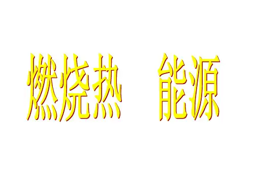 燃烧热、能源 课件