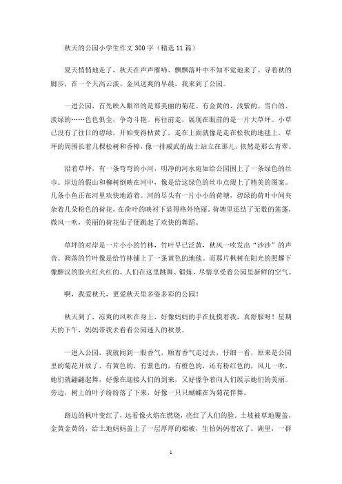秋天的公园小学生作文300字(精选11篇)(最新)