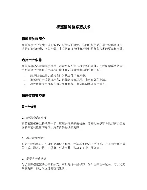 榴莲蜜种植修剪技术
