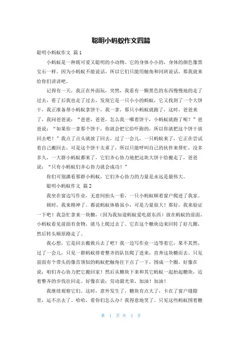 聪明小蚂蚁作文四篇