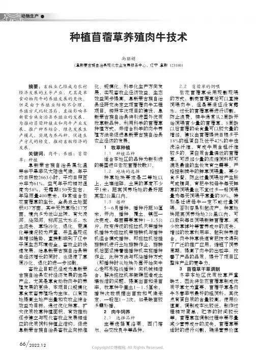 种植苜蓿草养殖肉牛技术