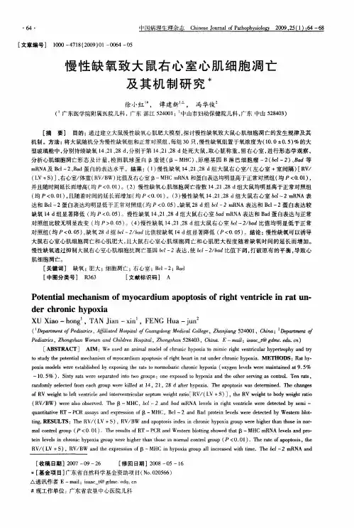 慢性缺氧致大鼠右心室心肌细胞凋亡及其机制研究