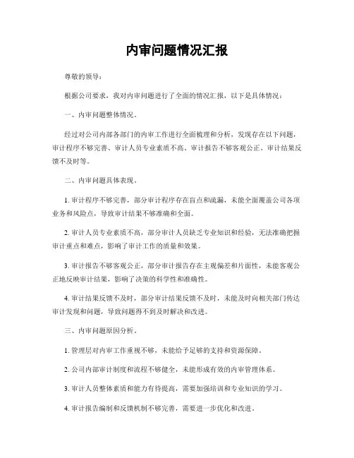 内审问题情况汇报