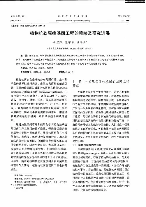植物抗软腐病基因工程的策略及研究进展