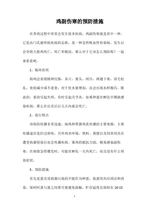 鸡副伤寒的预防措施