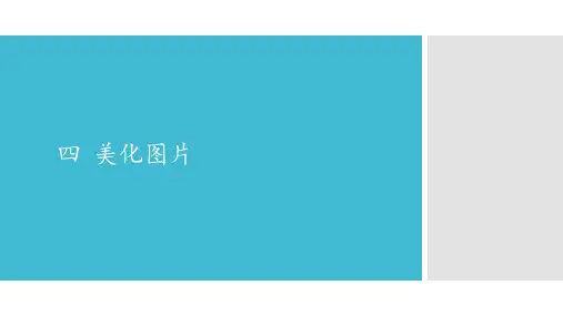 六年级下册信息技术课件-第二模块 四  美化图片 沈阳版(共12张PPT)