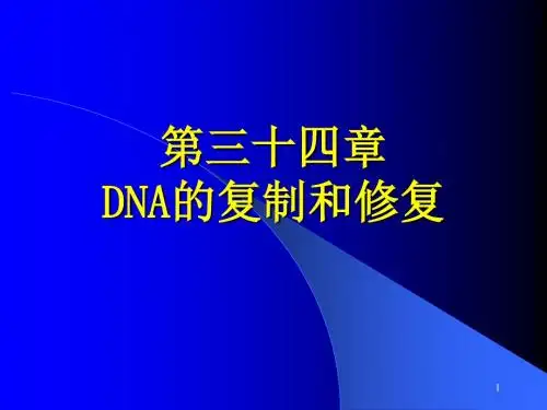 第34章DNA复制和修复