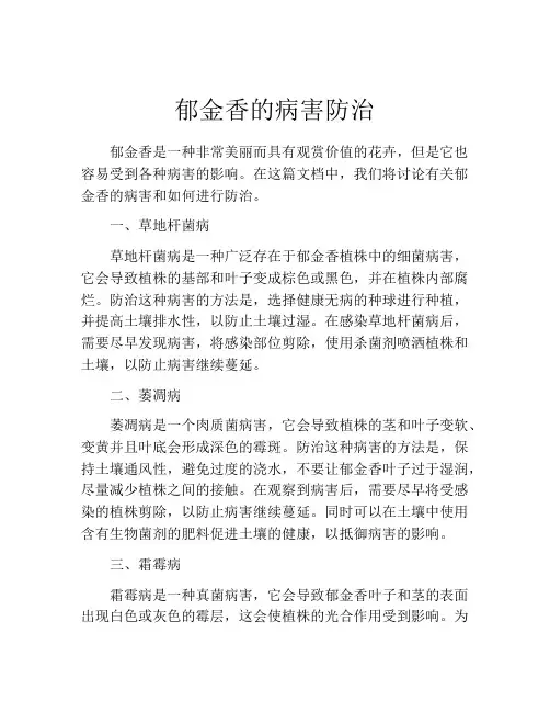 郁金香的病害防治