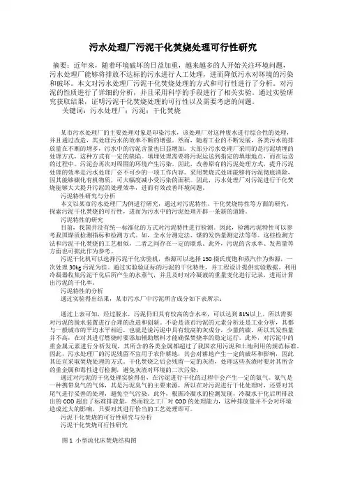 污水处理厂污泥干化焚烧处理可行性研究
