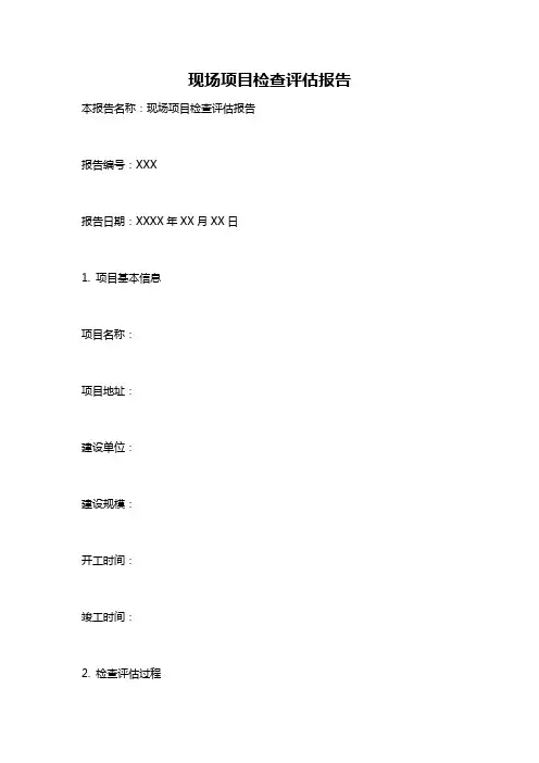现场项目检查评估报告