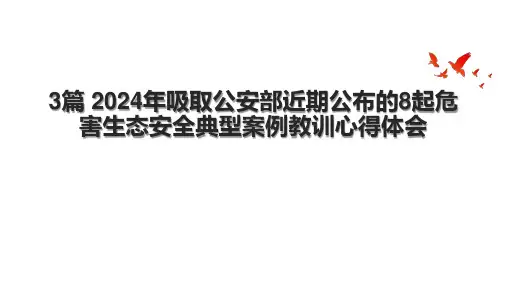 3篇 2024年吸取公安部近期公布的8起危害生态安全典型案例教训心得体会.pptx