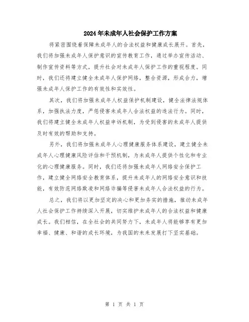2024年未成年人社会保护工作方案