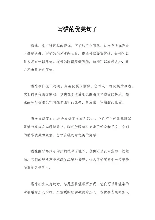写猫的优美句子