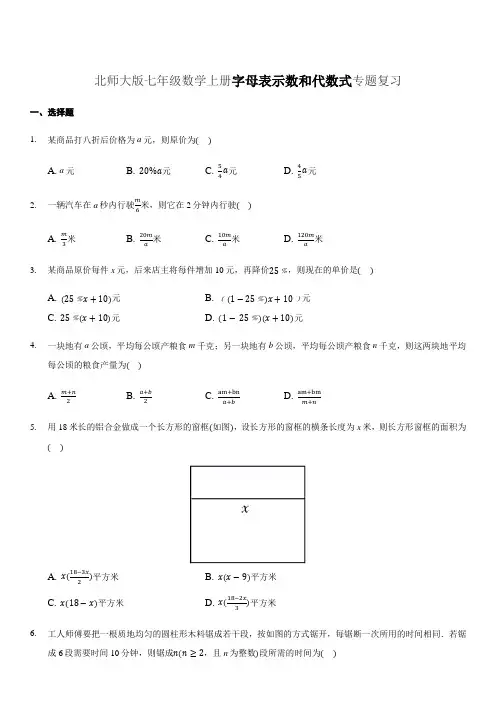 北师大版七年级数学上册字母表示数和代数式专题复习(含答案)