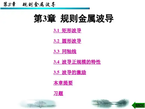 微波技术基础课件第三章规则金属波导