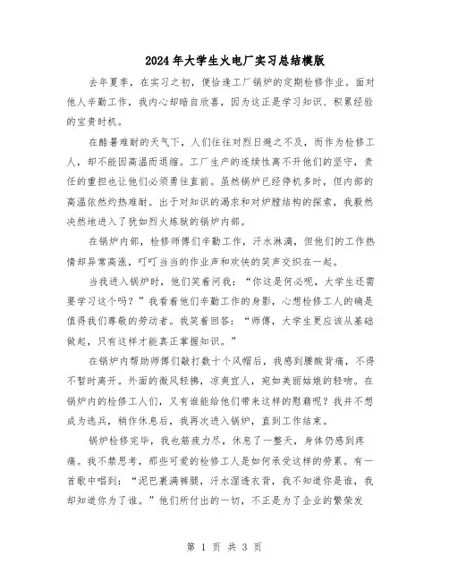 2024年大学生火电厂实习总结模版（二篇）