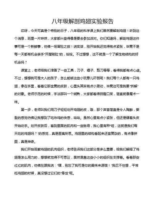 八年级解剖鸡翅实验报告