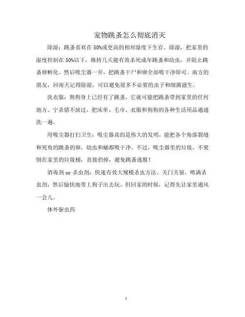 宠物跳蚤怎么彻底消灭
