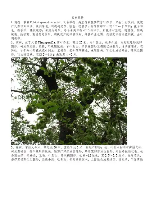 武汉地区常见园林植物